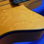 #491 Archtop 6 String Fretless