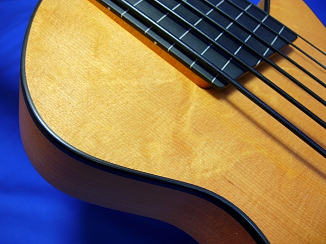 #491 Archtop 6 String Fretless
