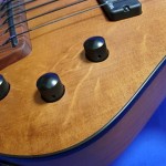 #492 Archtop 6 String Fretless