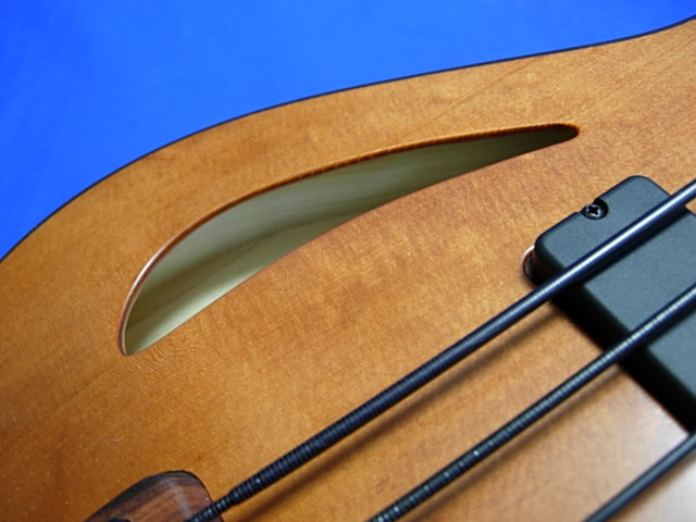 #492 Archtop 6 String Fretless
