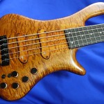 #313 Excellency 5 Flame Maple