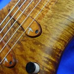 #313 Excellency 5 Flame Maple