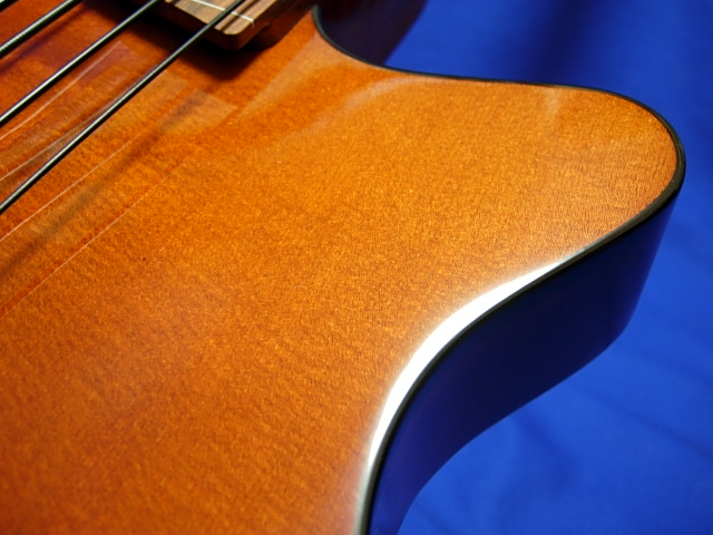 #604 Archtop 4 String Fretless