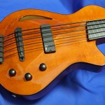 #605 Archtop 5 String Fretless