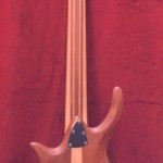 AESTHETICAL 6 (Semi-hollow Electric 6 String Bass)