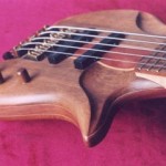 AESTHETICAL 6 (Semi-hollow Electric 6 String Bass)